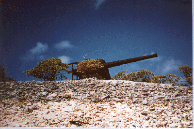 British Gun